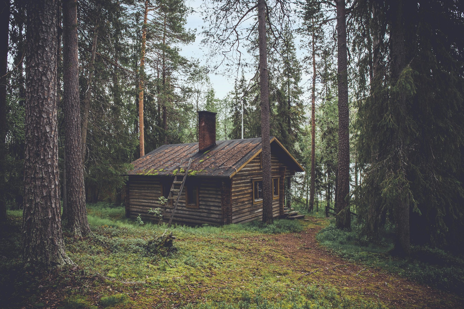 Gîte en bois au cœur de la forêt